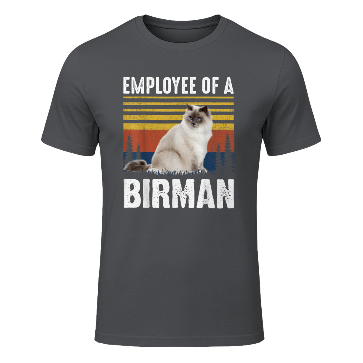 Chat – Employée de Birmanie – Sainte Birmanie in Charcoal - front view