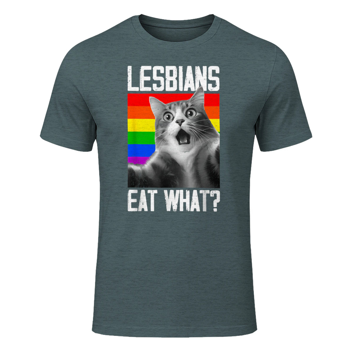 Lesbians Eat What? LGBT Lesbian Girlfriend Funny Cat Gift T-Shirt in Dark Heather - front view