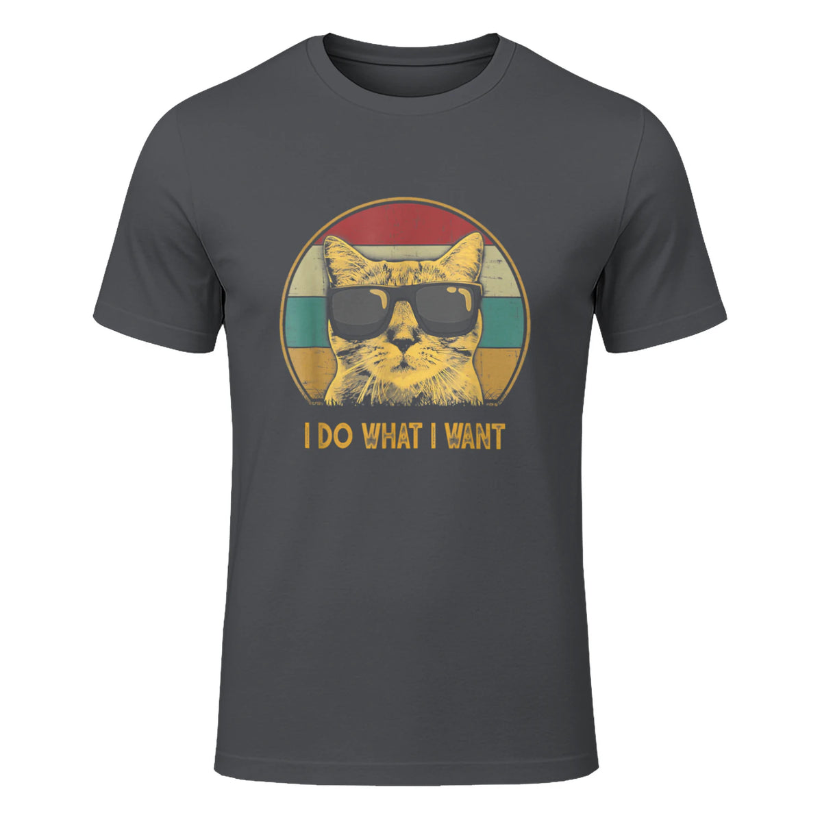 Retro I do What I Want cat Funny cat Lover T-Shirt Small in Charcoal - front view