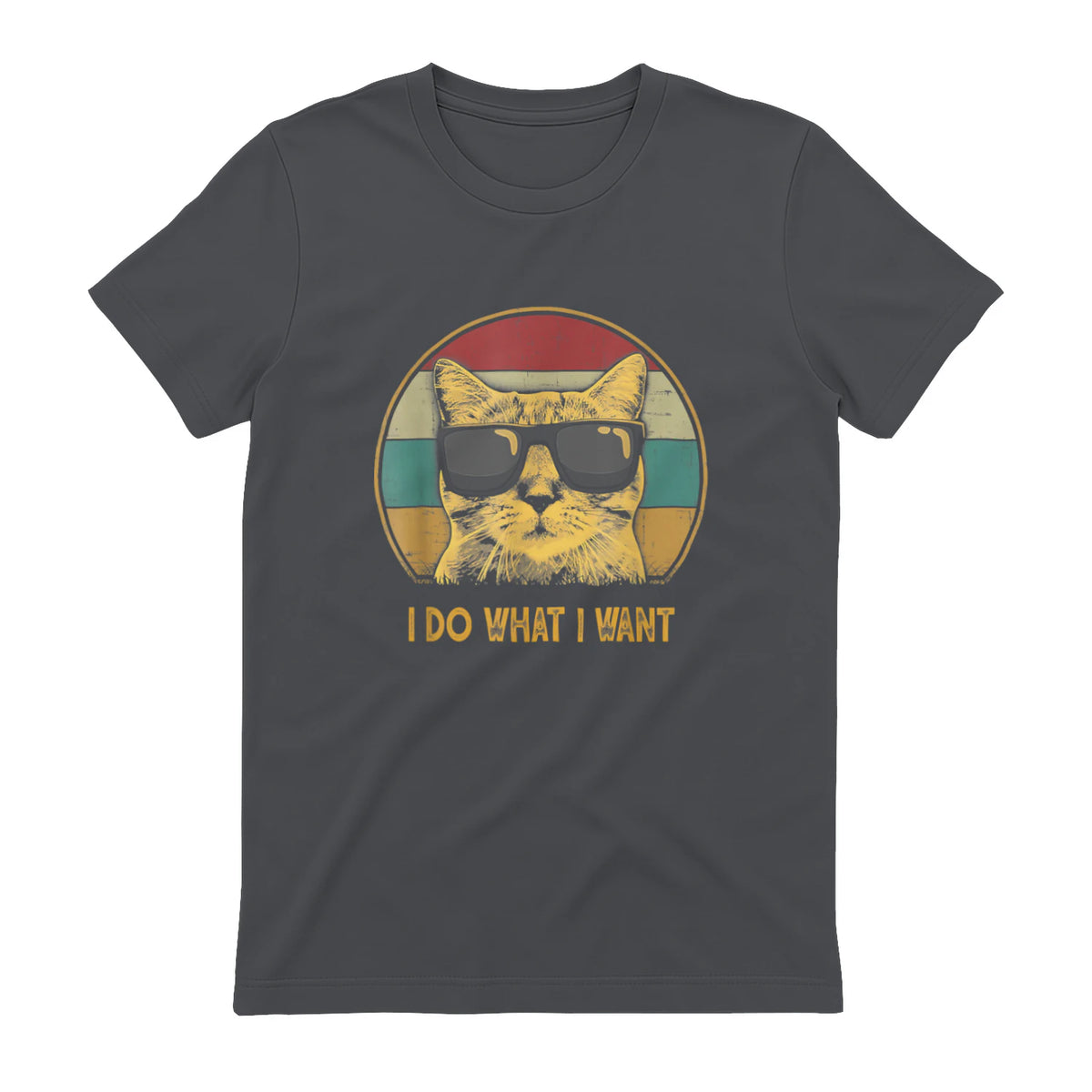 Retro I do What I Want cat Funny cat Lover T-Shirt Small in Charcoal - back view