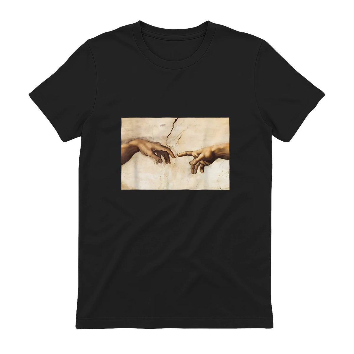 Creation of Adam Michelangelo Die Erschaffung Adams Kunst in Black - back view