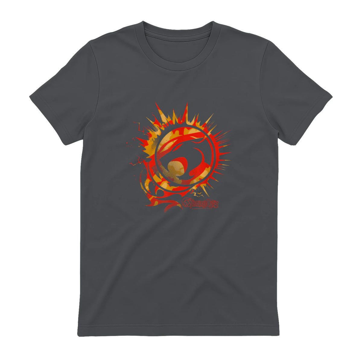 Thundercats Flare Circle Logo T-Shirt in Charcoal - back view
