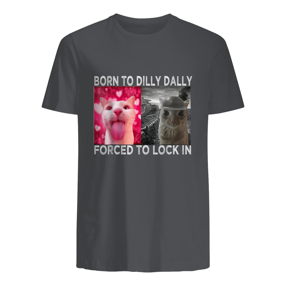 Born to Dilly Dally Forced to Lock in Cat Meme T-Shirt in Charcoal - back view