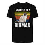Chat – Employée de Birmanie – Sainte Birmanie in Black - back view