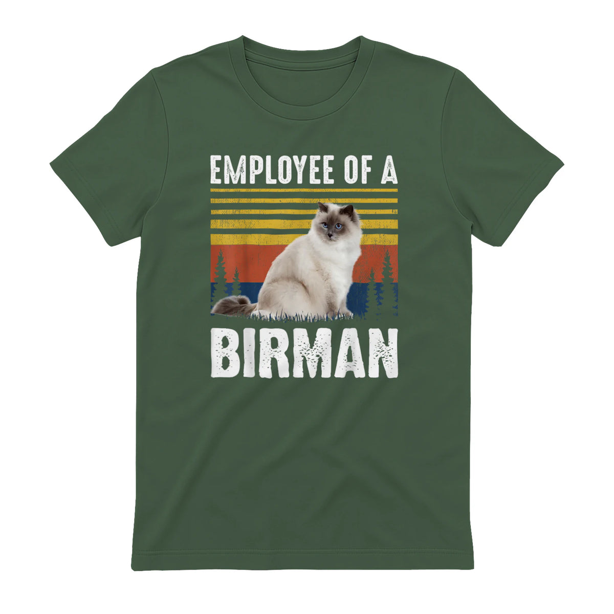 Chat – Employée de Birmanie – Sainte Birmanie in Military Green - back view