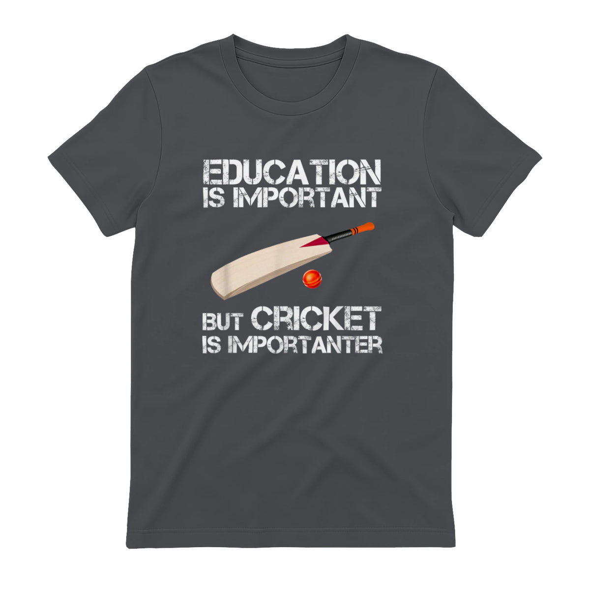 Education Is Important But Cricket Is Importanter T-Shirt T-Shirt in Charcoal - back view