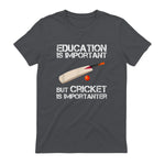 Education Is Important But Cricket Is Importanter T-Shirt T-Shirt in Charcoal - back view