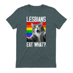 Lesbians Eat What? LGBT Lesbian Girlfriend Funny Cat Gift T-Shirt in Dark Heather - back view