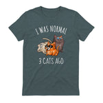 I Was Normal Three Cats Ago T-Shirt in Dark Heather - back view