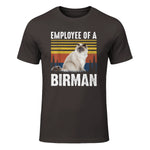 Chat – Employée de Birmanie – Sainte Birmanie in Dark Chocolate - front view