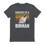 Chat – Employée de Birmanie – Sainte Birmanie in Charcoal - back view