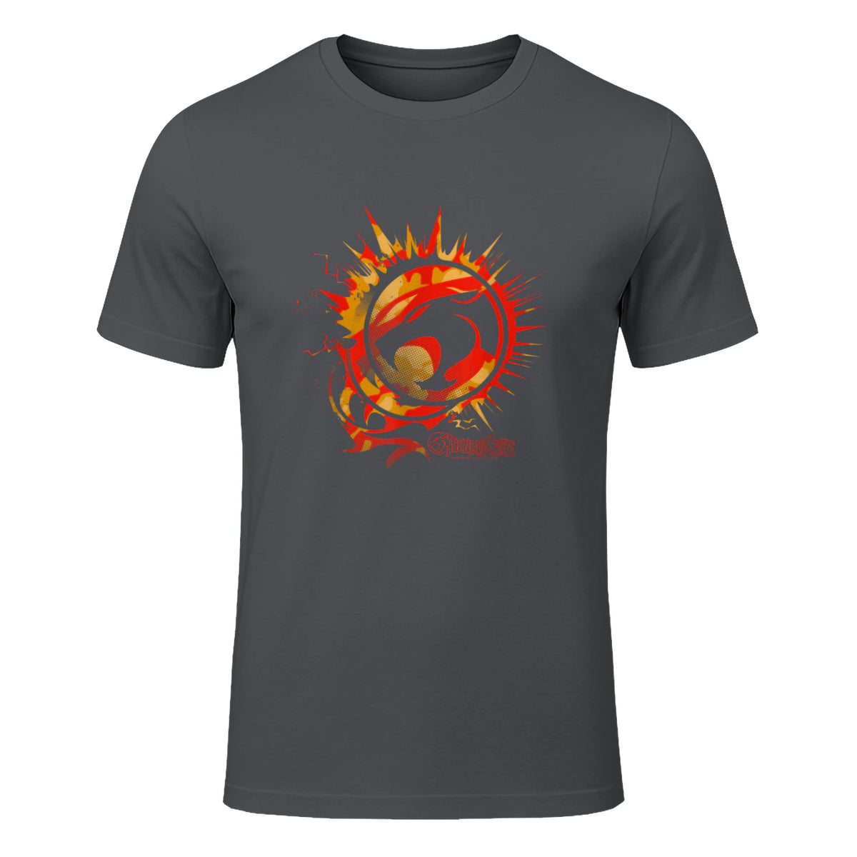 Thundercats Flare Circle Logo T-Shirt in Charcoal - front view