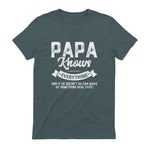Papa Knows Everything Funny Father's Day Gift T-Shirt in Dark Heather - back view