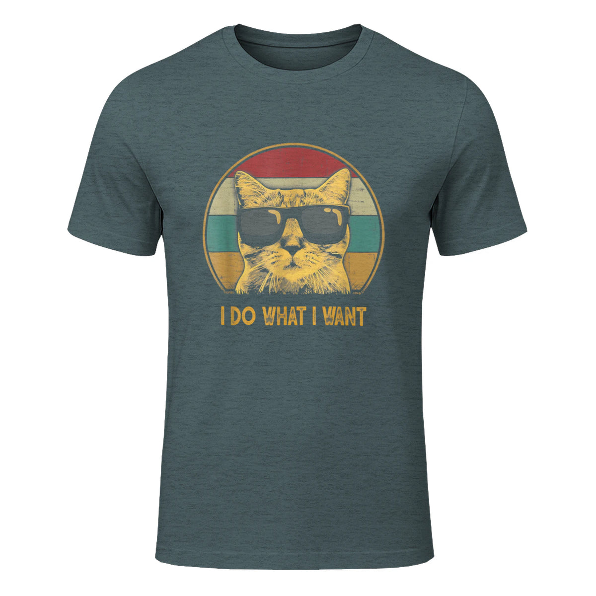 Retro I do What I Want cat Funny cat Lover T-Shirt Small in Dark Heather - front view