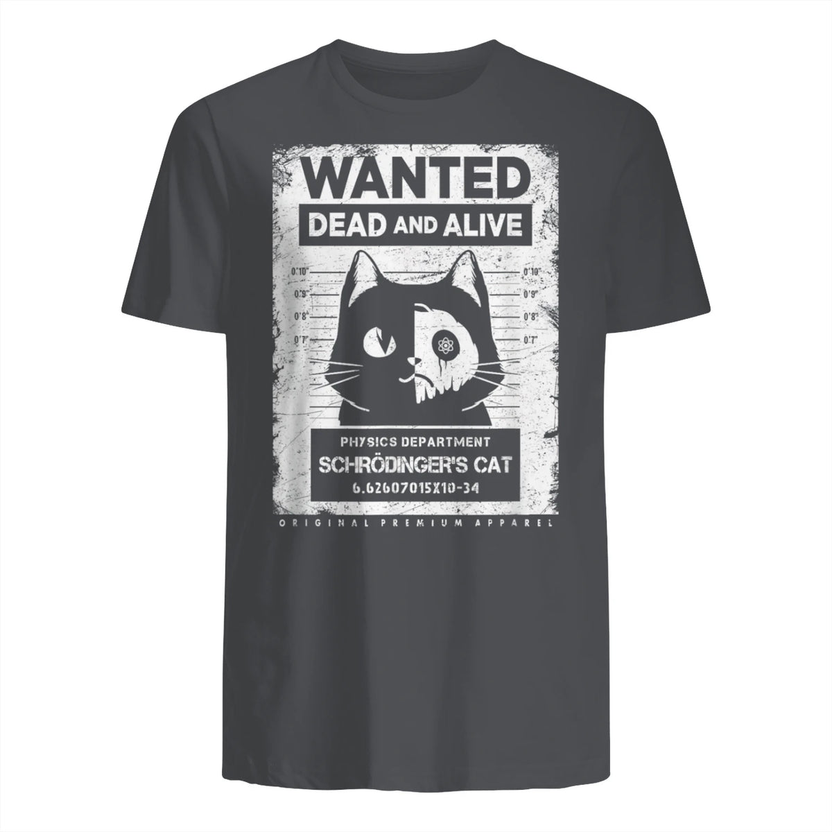 Schrödinger's Cat Wanted Dead And Alive Physics Physicist T-Shirt in Charcoal - back view