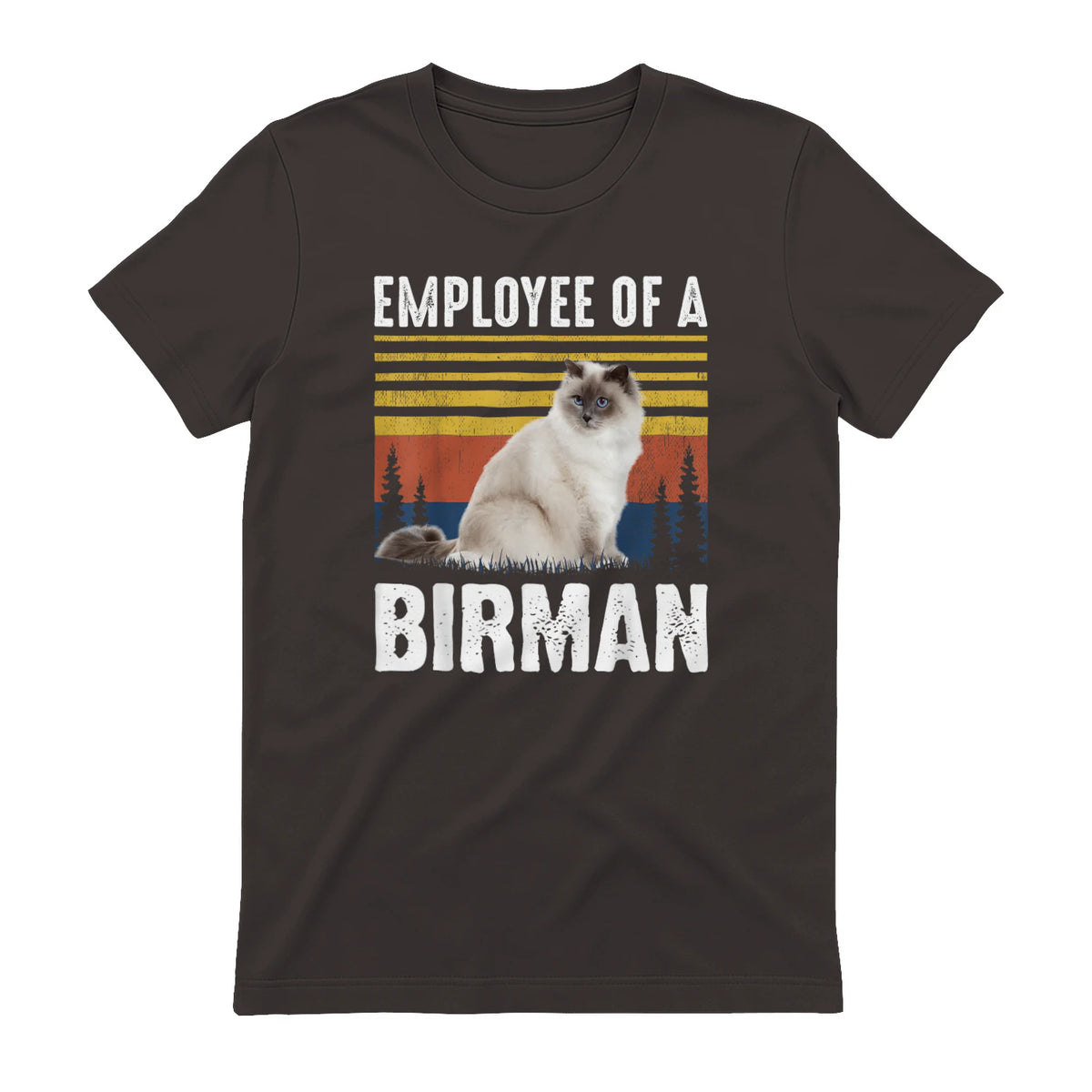 Chat – Employée de Birmanie – Sainte Birmanie in Dark Chocolate - back view