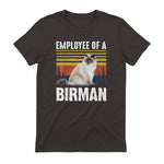 Chat – Employée de Birmanie – Sainte Birmanie in Dark Chocolate - back view