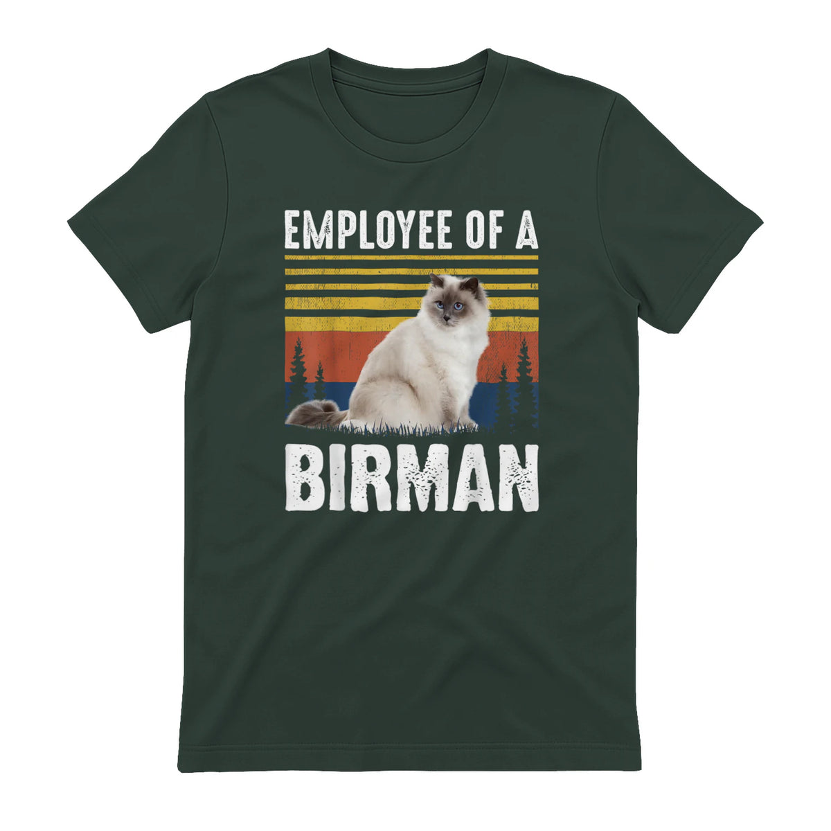 Chat – Employée de Birmanie – Sainte Birmanie in Forest Green - back view