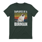 Chat – Employée de Birmanie – Sainte Birmanie in Forest Green - back view