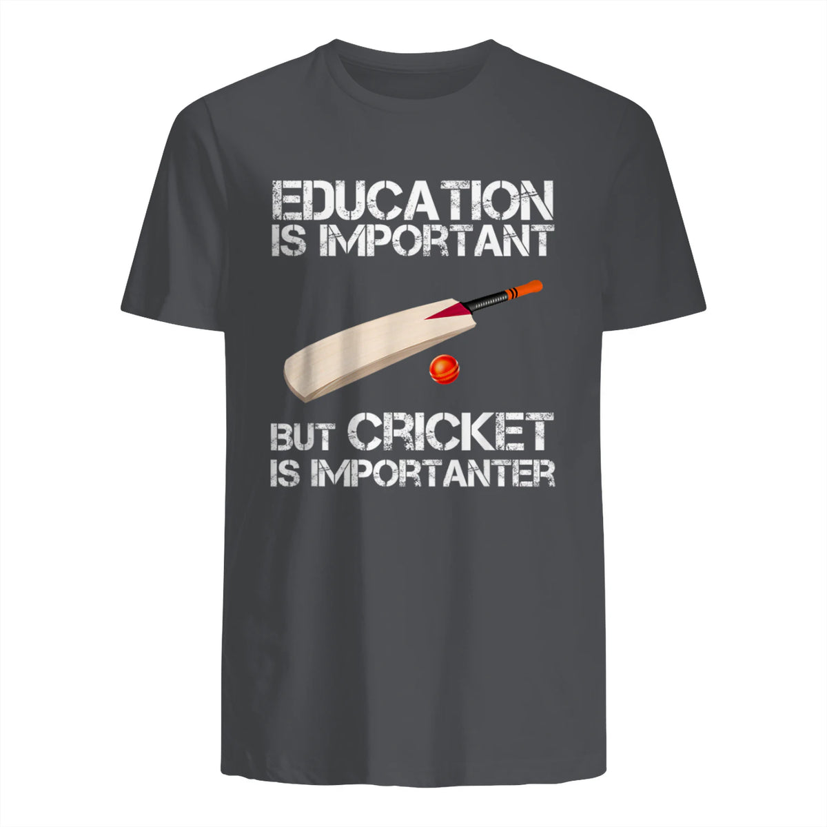 Education Is Important But Cricket Is Importanter T-Shirt T-Shirt in Charcoal - back view