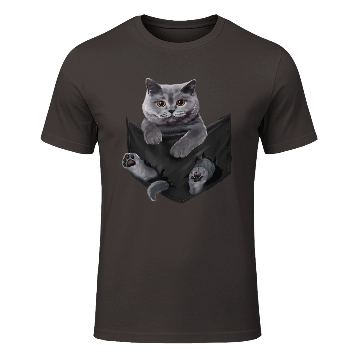 Cat Lovers British Shorthair In Pocket Fun Kitten in Dark Chocolate - front view
