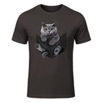 Cat Lovers British Shorthair In Pocket Fun Kitten in Dark Chocolate - front view