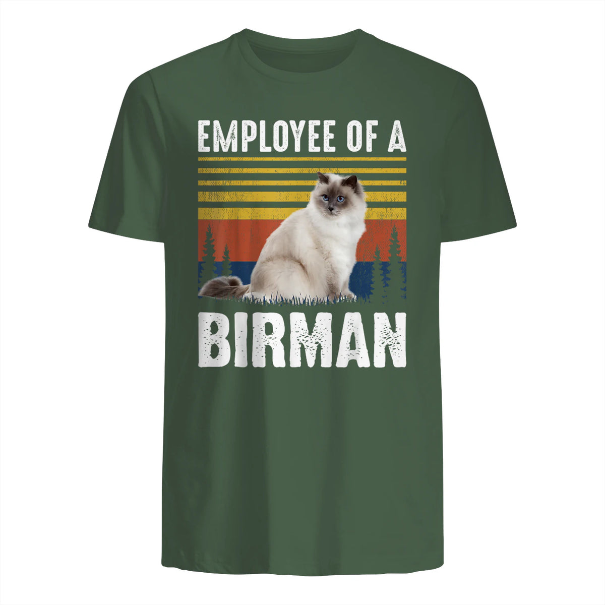 Chat – Employée de Birmanie – Sainte Birmanie in Military Green - back view