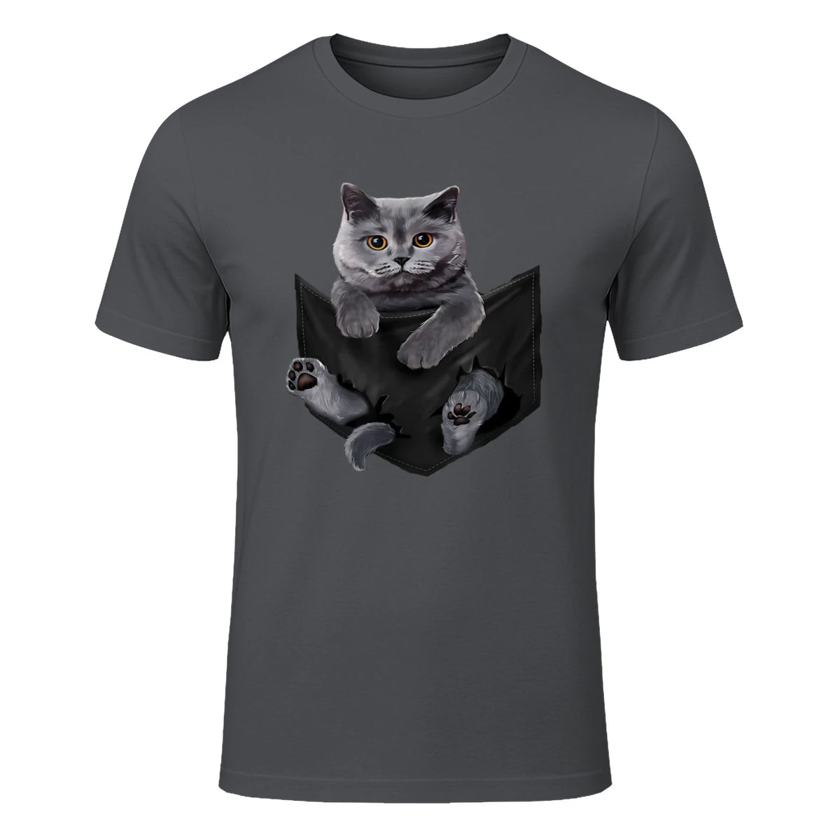 Cat Lovers British Shorthair In Pocket Fun Kitten in Charcoal - front view