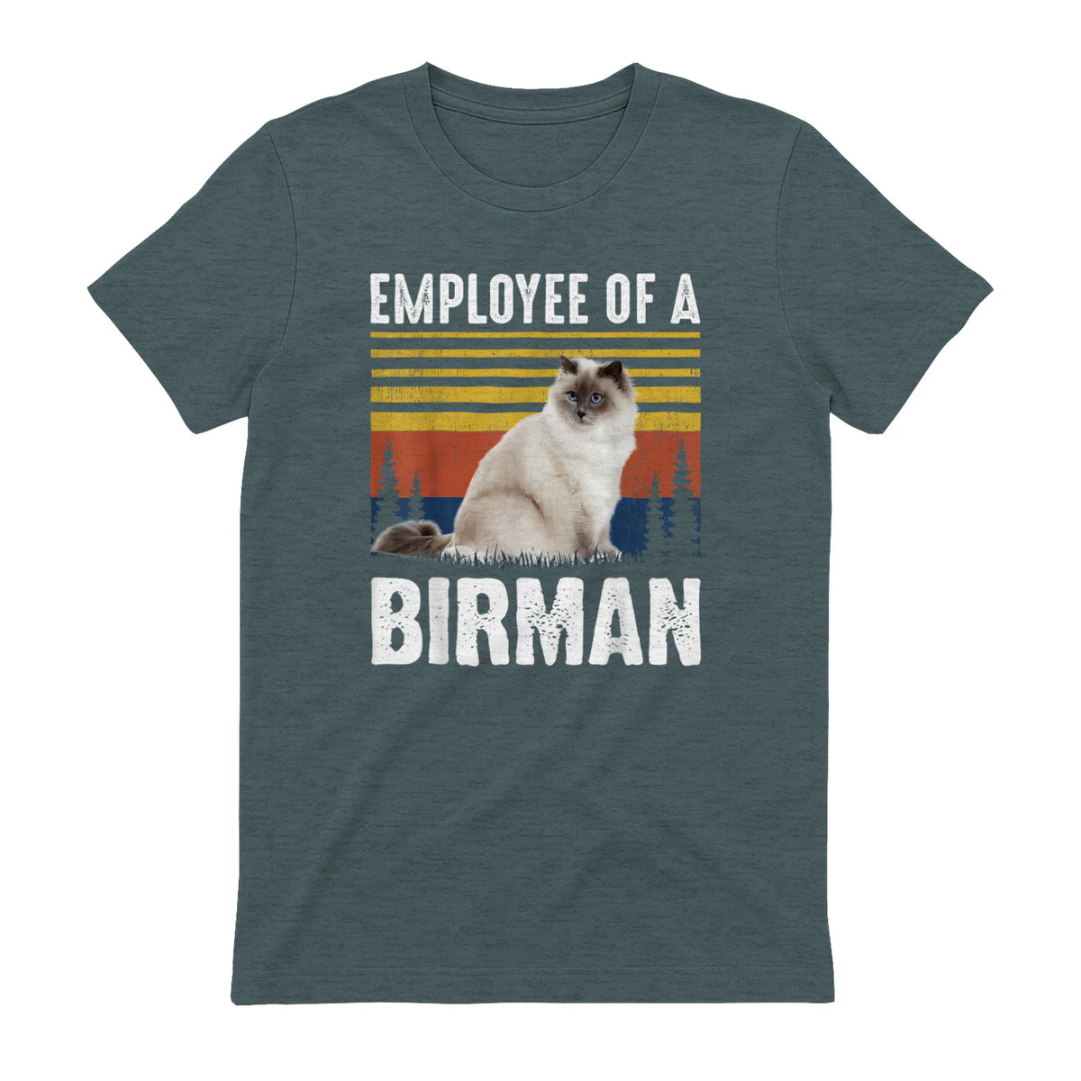 Chat – Employée de Birmanie – Sainte Birmanie in Dark Heather - back view