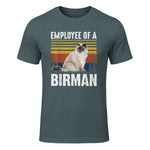 Chat – Employée de Birmanie – Sainte Birmanie in Dark Heather - front view