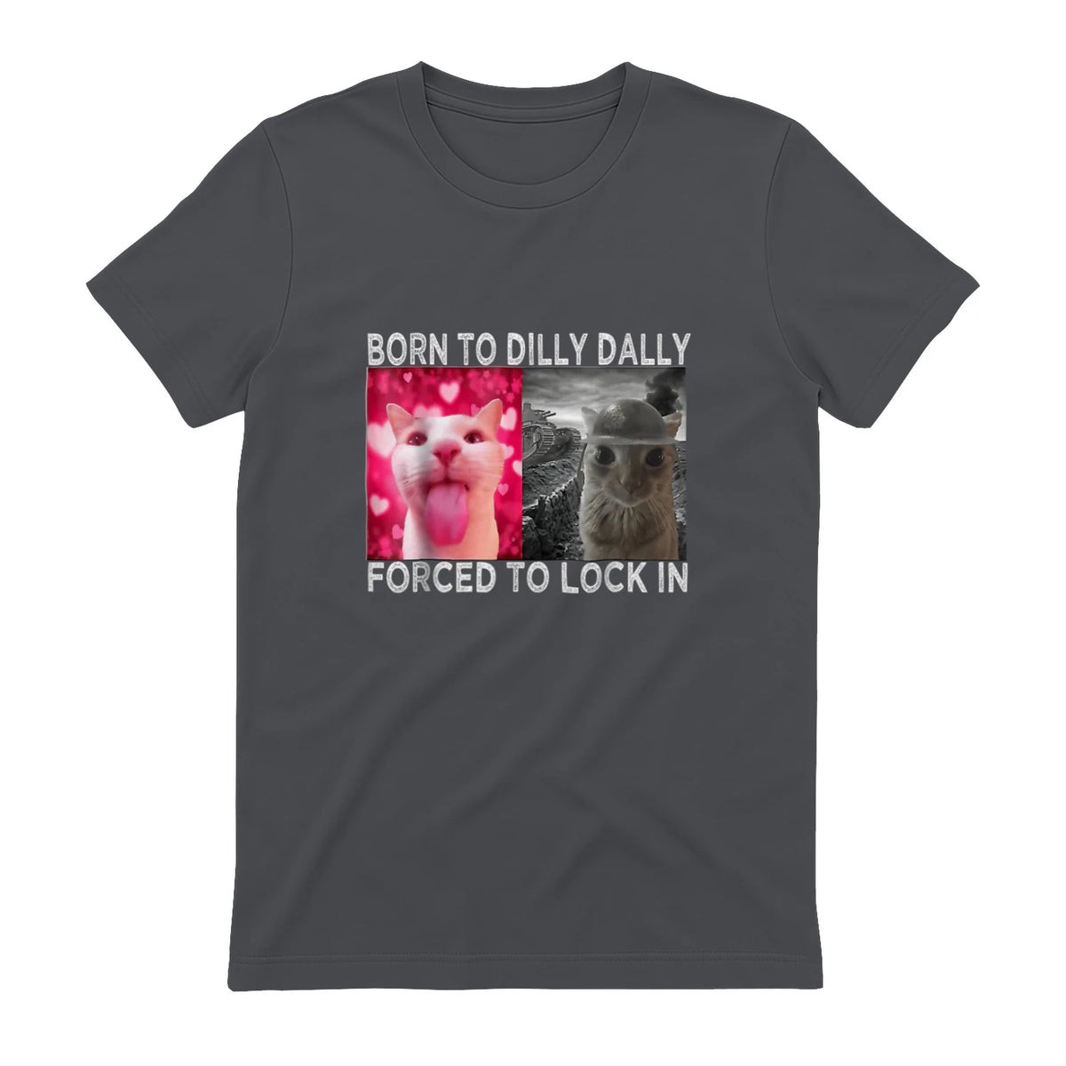 Born to Dilly Dally Forced to Lock in Cat Meme T-Shirt in Charcoal - back view