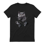 Cat Lovers British Shorthair In Pocket Fun Kitten in Black - back view