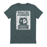 Schrödinger's Cat Wanted Dead And Alive Physics Physicist T-Shirt in Dark Heather - back view