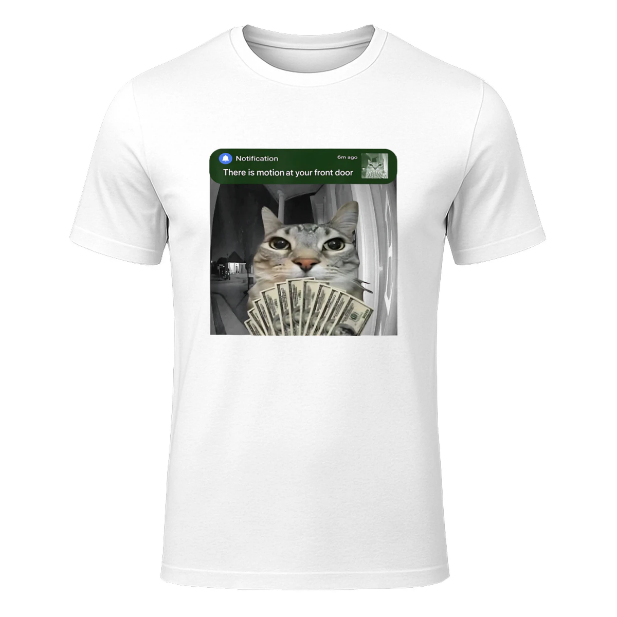 There is Motion at Your Front Door Funny Cat Motion Meme T-Shirt in White - front view