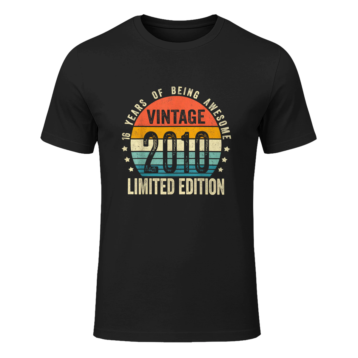 Vintage 2010 Funny 16 Years Old Boys and Girls 16th Birthday in Black - front view