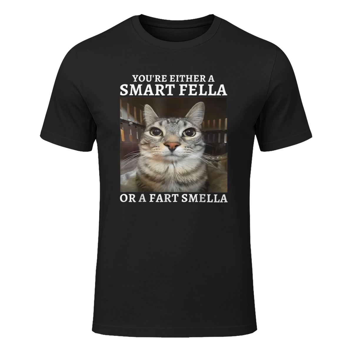You're Either a Smart Fella or a Fart Smella Funny Cat Meme T-Shirt in Black - front view