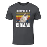Chat – Employée de Birmanie – Sainte Birmanie in Charcoal - front view