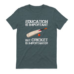 Education Is Important But Cricket Is Importanter T-Shirt T-Shirt in Dark Heather - back view