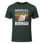 Chat – Employée de Birmanie – Sainte Birmanie in Forest Green - front view