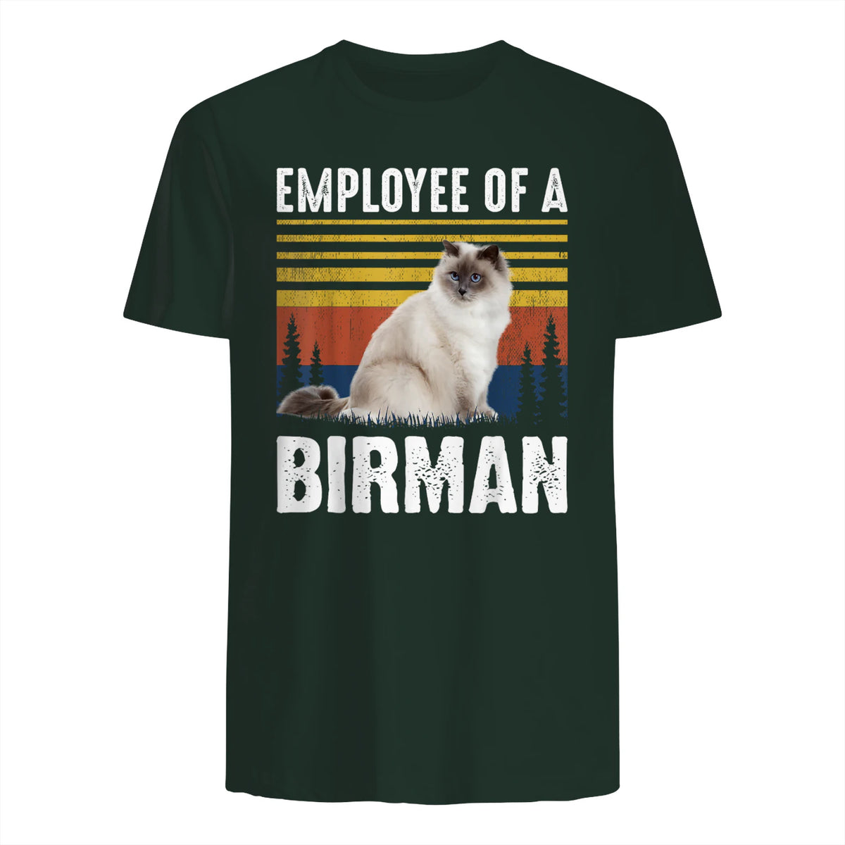 Chat – Employée de Birmanie – Sainte Birmanie in Forest Green - back view