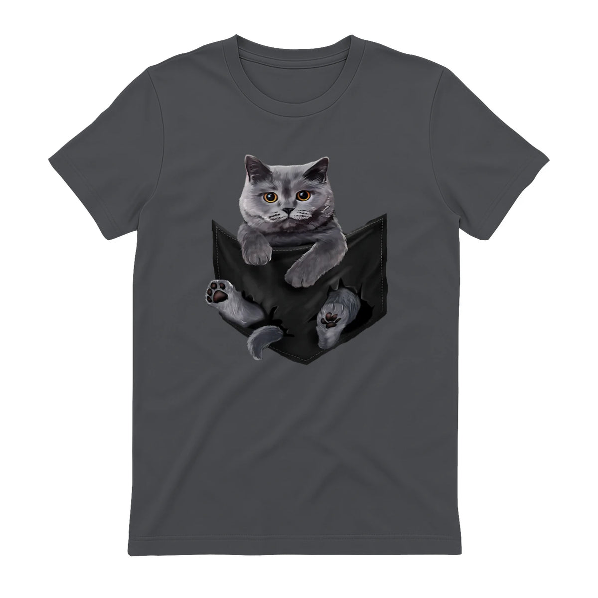 Cat Lovers British Shorthair In Pocket Fun Kitten in Charcoal - back view
