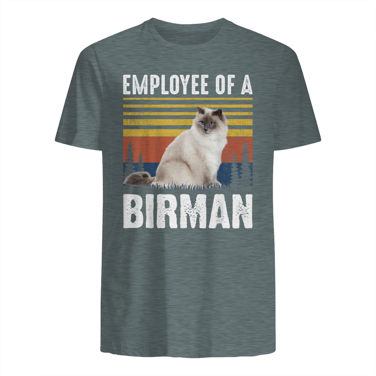 Chat – Employée de Birmanie – Sainte Birmanie in Dark Heather - back view
