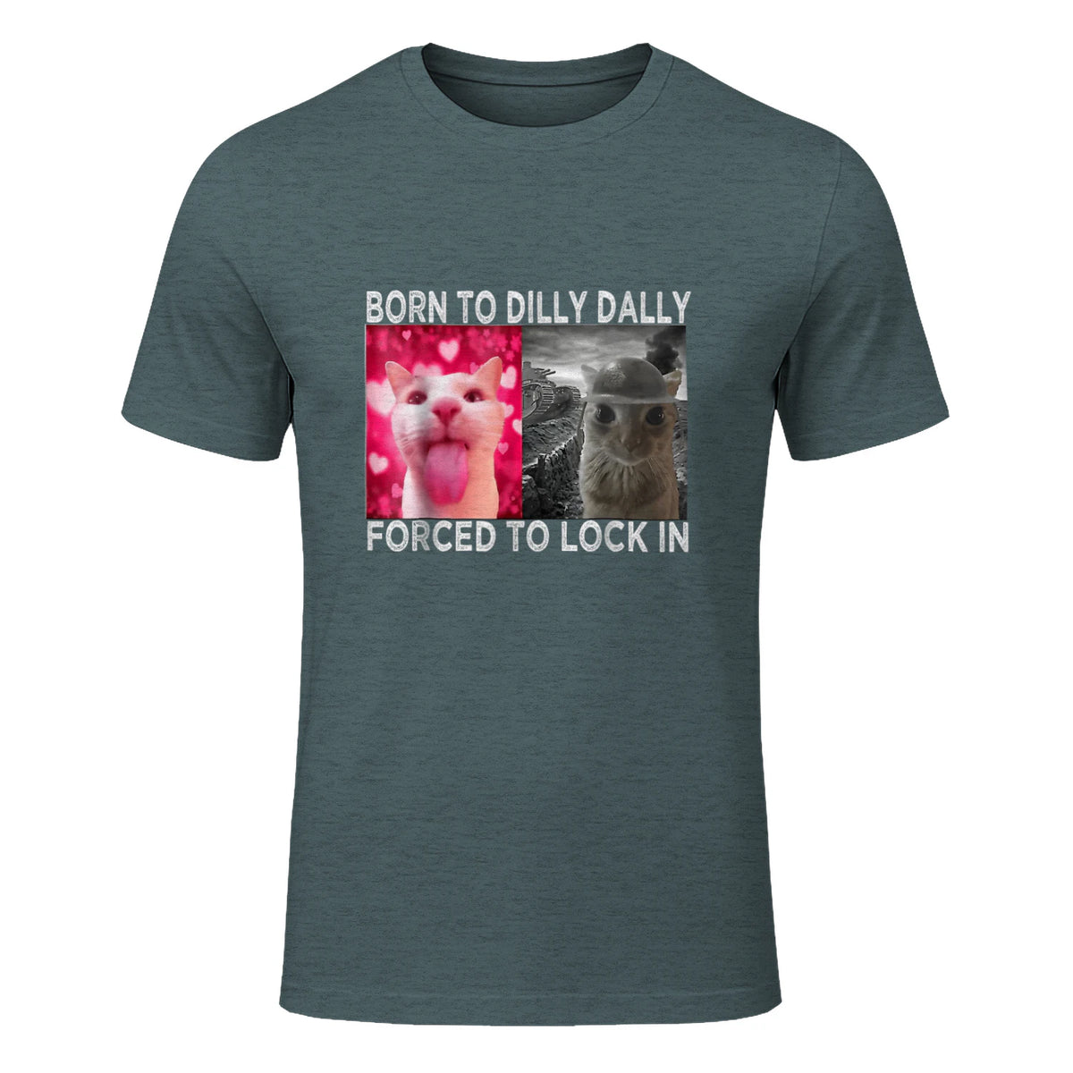 Born to Dilly Dally Forced to Lock in Cat Meme T-Shirt in Dark Heather - front view