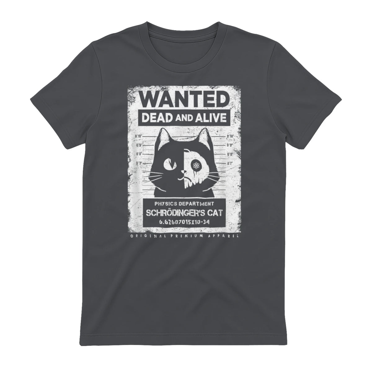 Schrödinger's Cat Wanted Dead And Alive Physics Physicist T-Shirt in Charcoal - back view