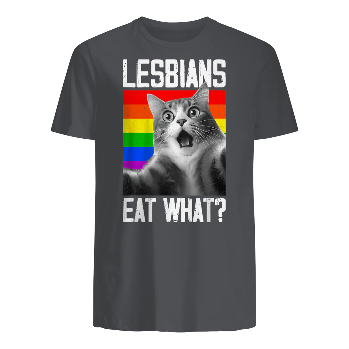 Lesbians Eat What? LGBT Lesbian Girlfriend Funny Cat Gift T-Shirt in Charcoal - back view