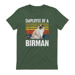 Chat – Employée de Birmanie – Sainte Birmanie in Military Green - back view
