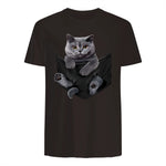 Cat Lovers British Shorthair In Pocket Fun Kitten in Dark Chocolate - back view