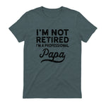 I'm Not Retired A Professional Papa in Dark Heather - back view