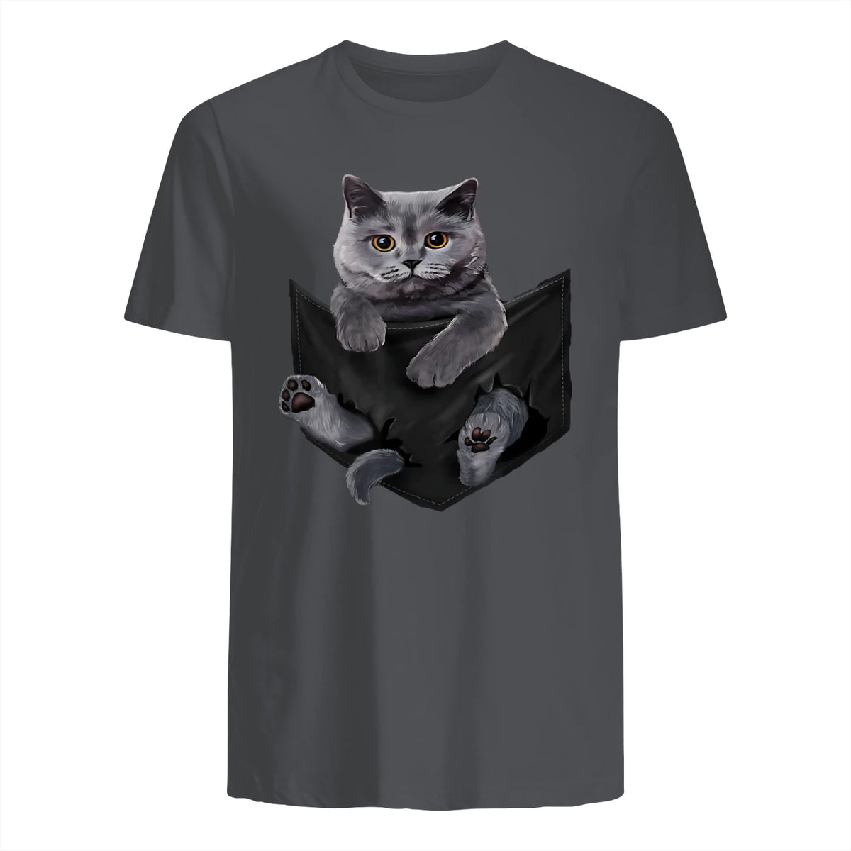 Cat Lovers British Shorthair In Pocket Fun Kitten in Charcoal - back view
