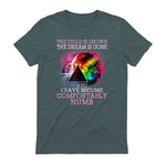 The Child Is Grown The Dream Is Gone Comfortably Number T-Shirt in Dark Heather - back view